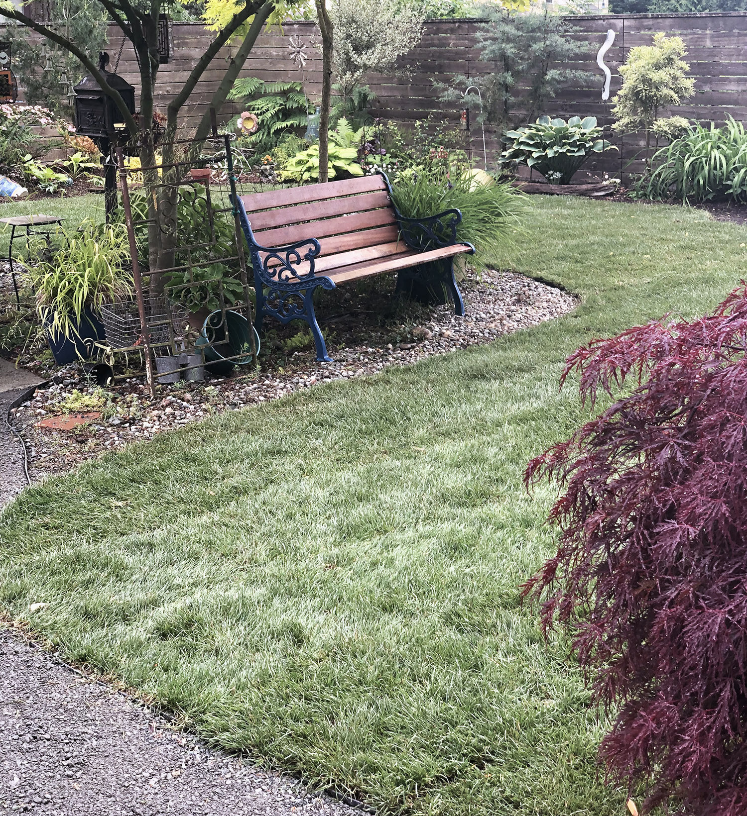 Photo of a bench in a manicured lawn, with shrubbery.