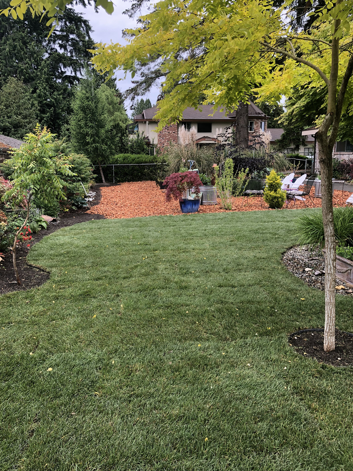 Photo of a yard with a garden in the back.