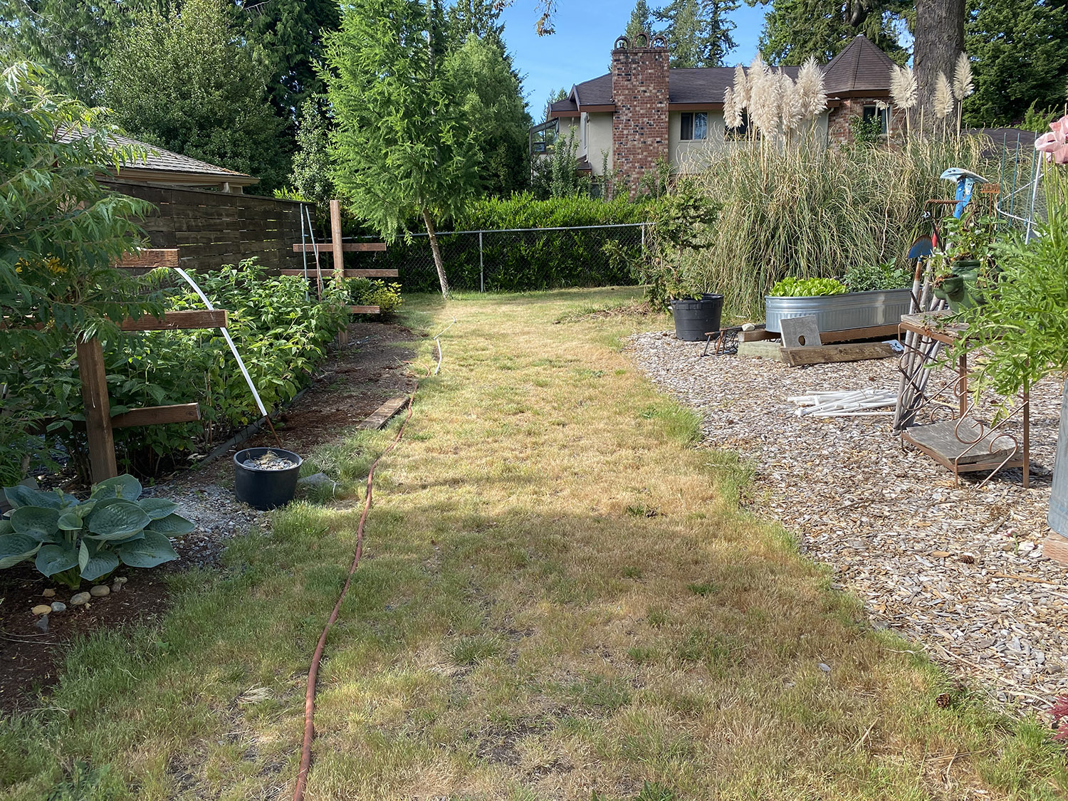 Photo of a yard with a garden on either side.