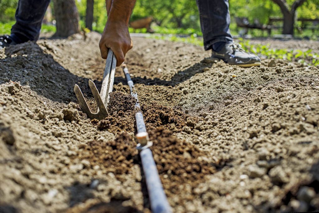 Photo of a person digging a pathway for irrigation lining, already laid.