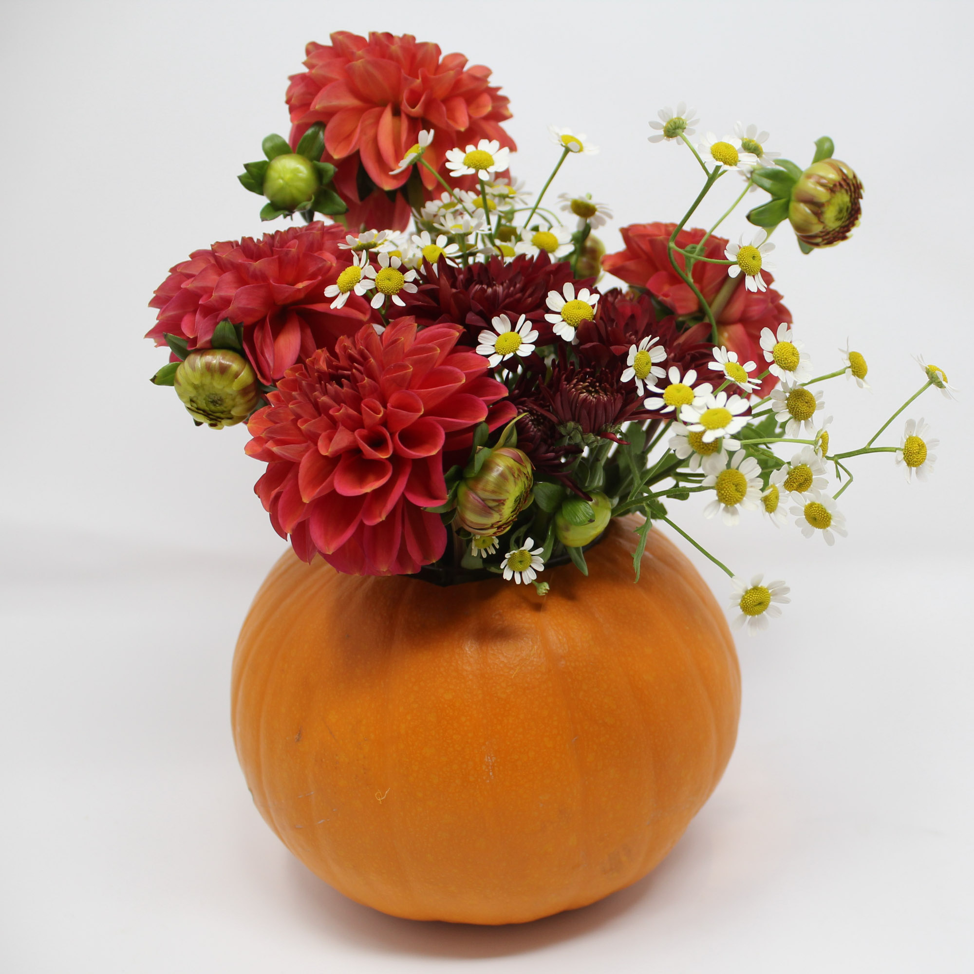 Photo of a floral arrangement with red, white, and yellow flowers in a small orange pumpkin.