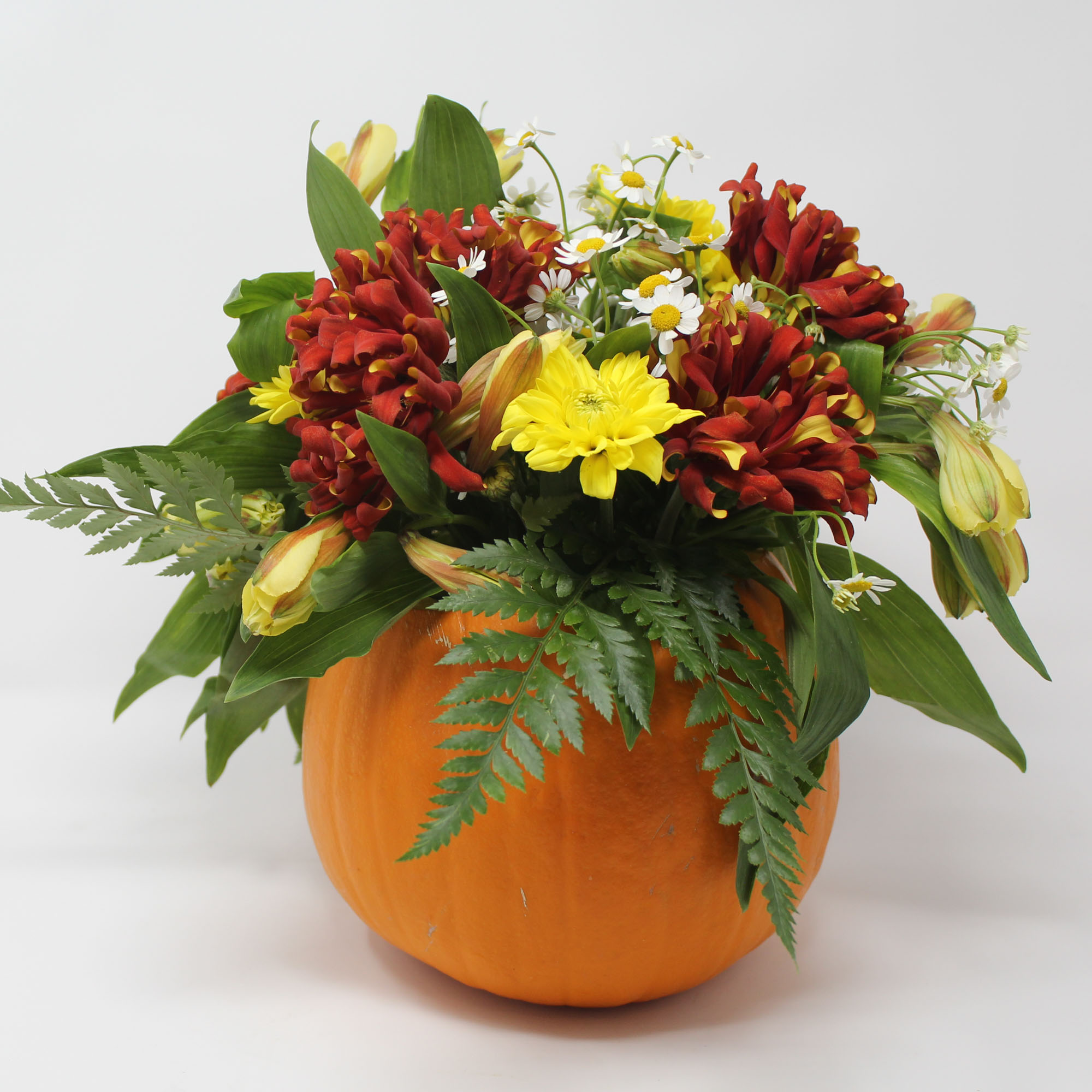 Photo of a bold red & yellow floral arrangement in a bright orange pumpkin.