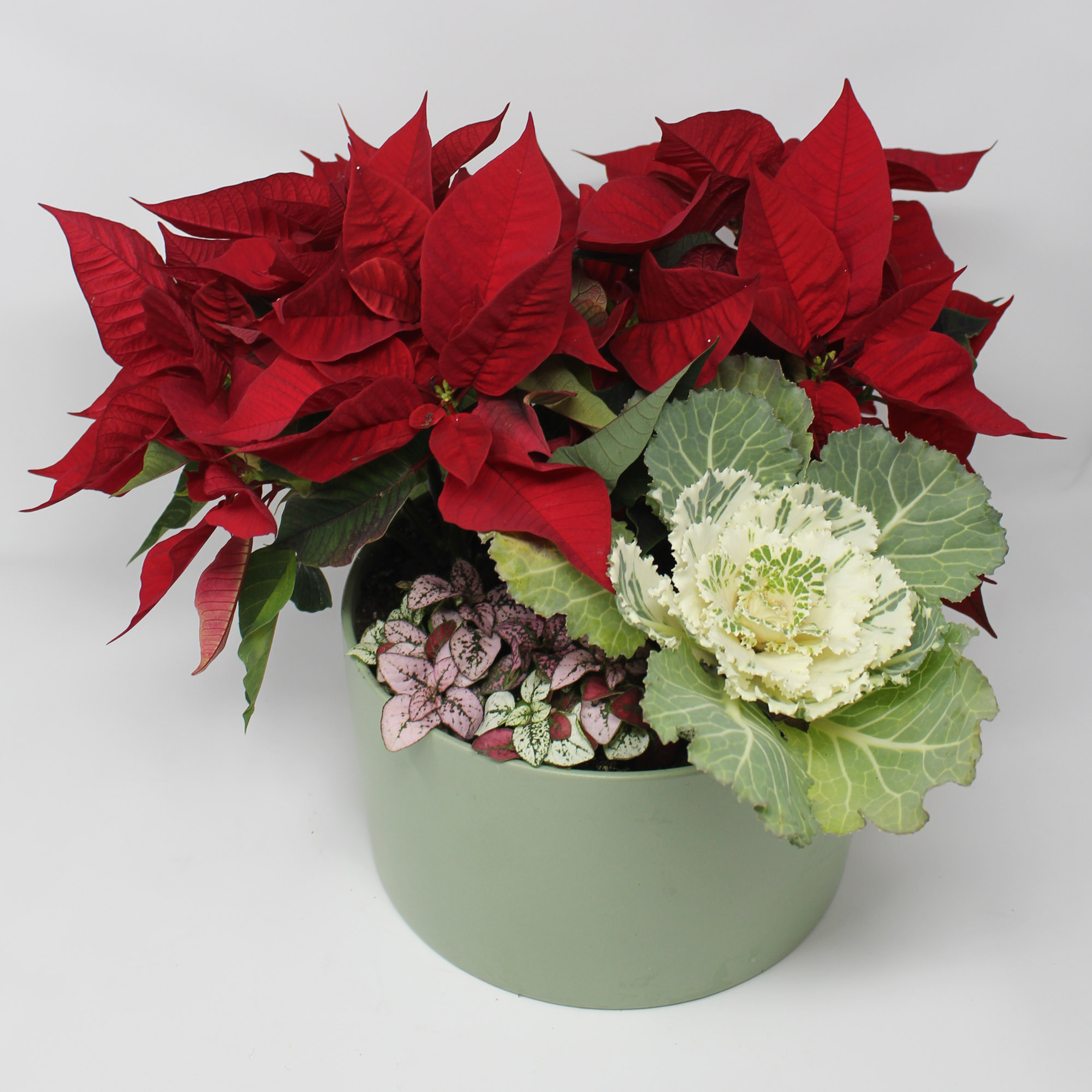 Photo of a holiday floral arrangement in a light green pot.